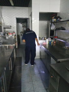 專業(yè)高效，安心無(wú)憂 西城遠(yuǎn)洋風(fēng)景小區(qū)家庭上門(mén)滅蟑螂服務(wù)詳解